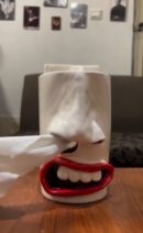 She-Vibes Cool Nose Tissue Box